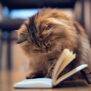 Cozy Fall Day Quiz Reading that book you\'ve been meaning to start