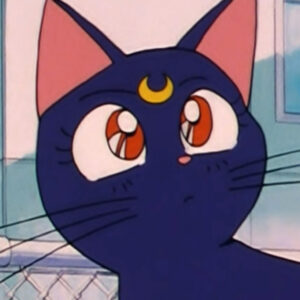 Fictional Cats Quiz Luna (Sailor Moon)