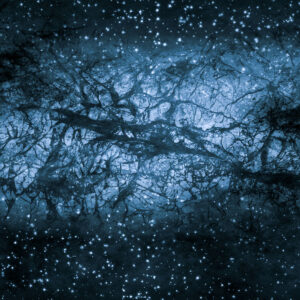 Cosmos Persona Quiz Nature of dark matter
