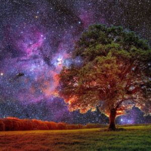 Cosmos Persona Quiz Garden modeled after the patterns of distant galaxies