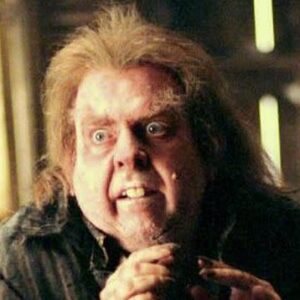 Guess The Harry Potter Emoji Quiz Peter Pettigrew