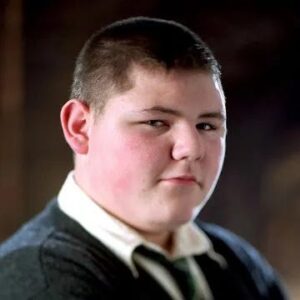 Guess The Harry Potter Emoji Quiz Vincent Crabbe