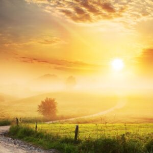 Are You A Desert, Forest, Mountain, Or Ocean? Quiz Warm and sunny