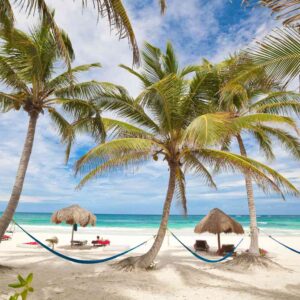 Are You Latte, Bubble Tea, Smoothie, Or Espresso? Quiz The fanciest beach