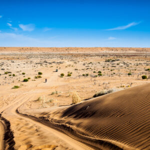 Desert Trivia Quiz Simpson Desert