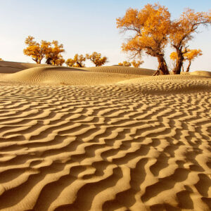 Desert Trivia Quiz Taklamakan Desert