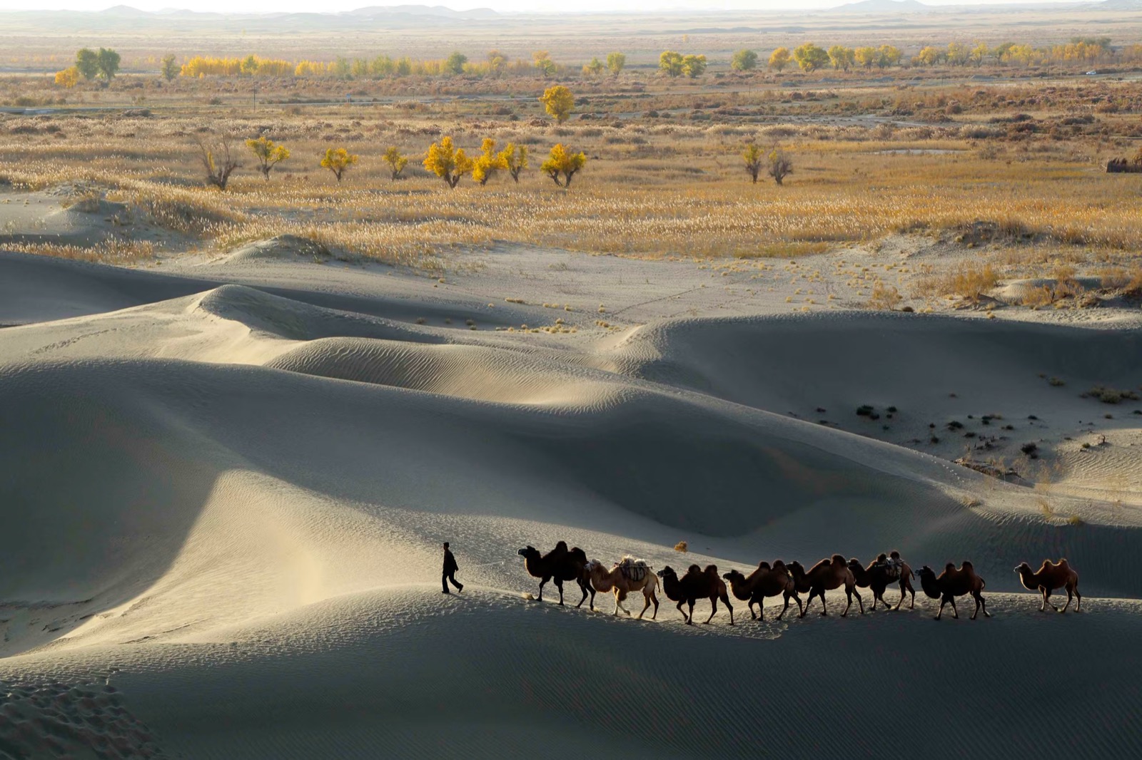 Desert Trivia Quiz Taklamakan Desert, Xinjiang, China