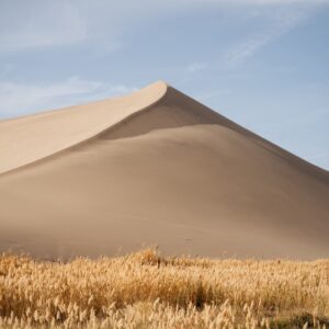 Desert Trivia Quiz Gobi Desert