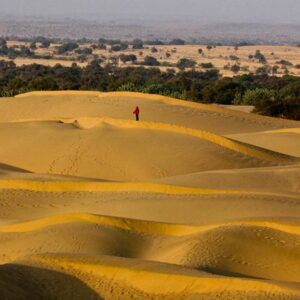 Desert Trivia Quiz Thar Desert