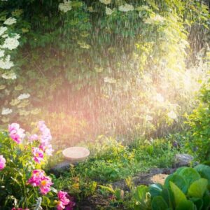 Autumn Idioms Quiz Rainy spring weather