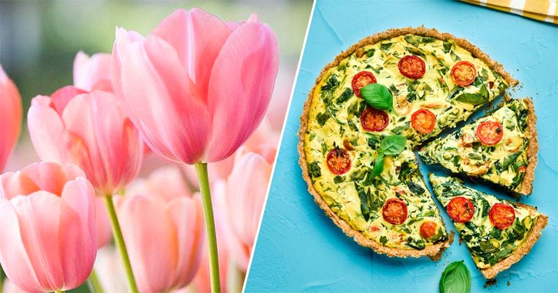 Spring Colors Food Quiz! What Spring Flower Am I? 🌷