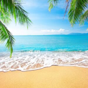 What Type Of Shark Are You? Quiz Beach day