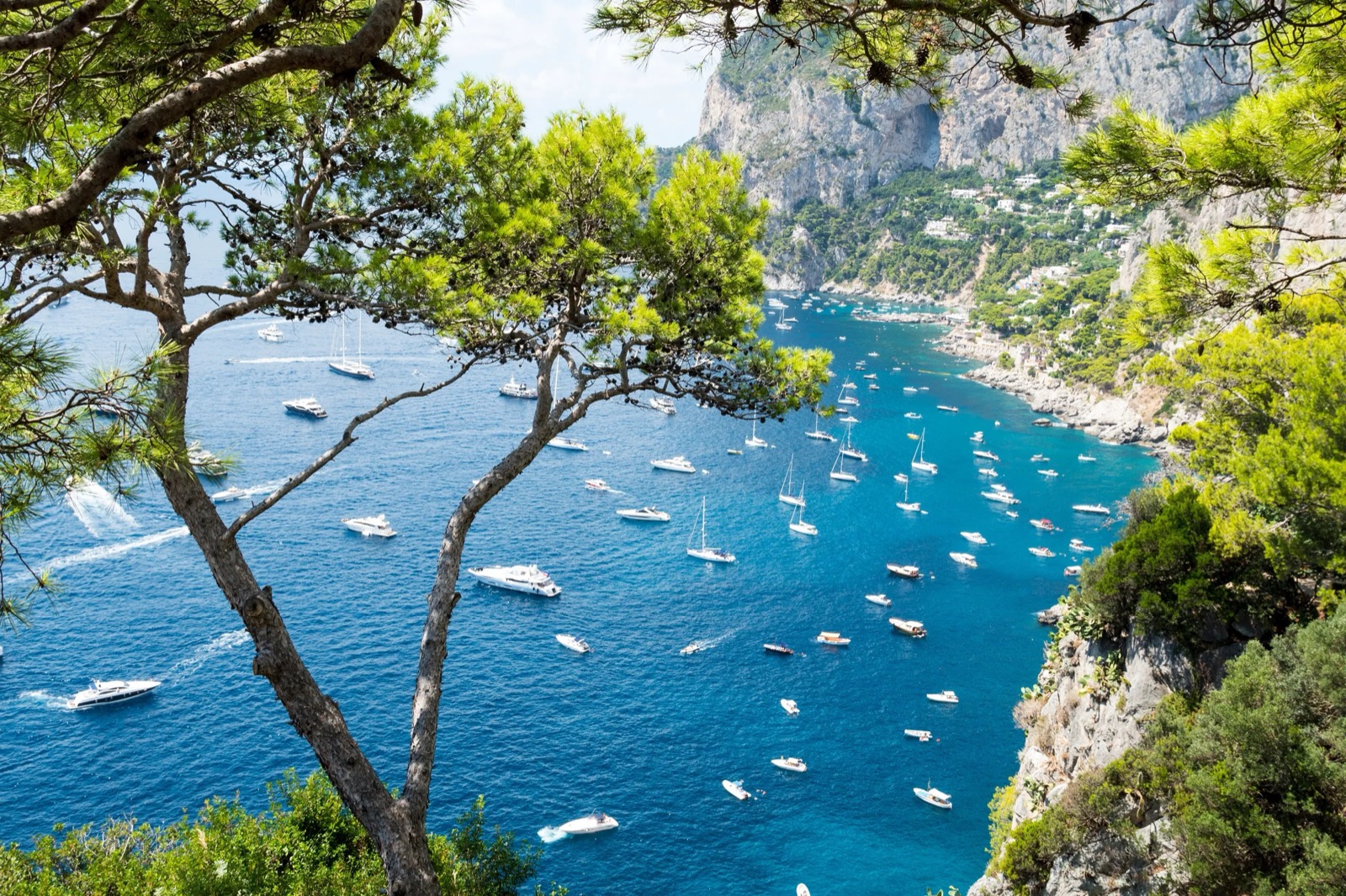 You got: Capri, Italy! Dine Across Europe and I’ll Determine Which Famous Island You’d End up Owning 🏝️