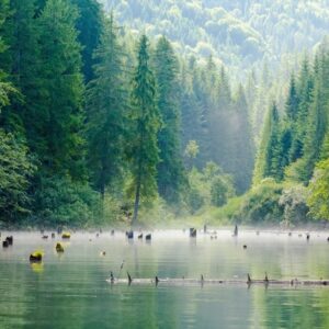 Summer Geography Quiz Carpathians