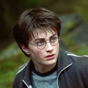 Which Harry Potter Character Are You? Quiz Harry - He\'s level-headed and patient
