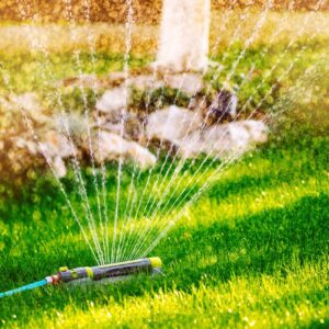Earth Day Quiz Water the lawn every day