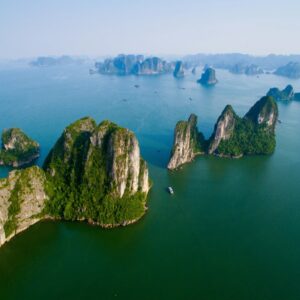 Fruitcake Trivia Quiz Vietnam