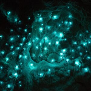 Are You A Tornado, A Rainbow, Snowfall Or An Aurora? Quiz Waitomo Glowworm Caves, New Zealand