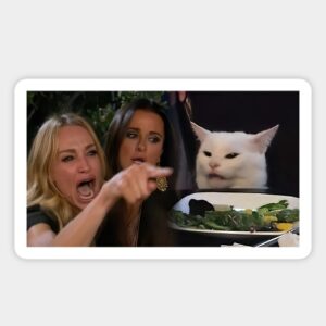 Brainrot Quiz Woman Yelling at a Cat