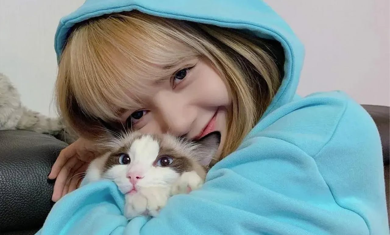 What Is Your K-Pop Persona? Quiz Blackpink Lisa with cat
