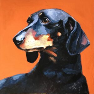 Are You A Black Cat Or A Golden Retriever? Quiz Portraits