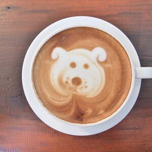 Are You A Black Cat Or A Golden Retriever? Quiz Cappuccino