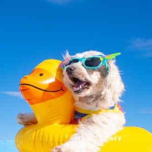 September Trivia Quiz Summer solstice