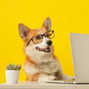 Are You Pancake, Waffle, French Toast, Or Omelette? Quiz Getting things done
