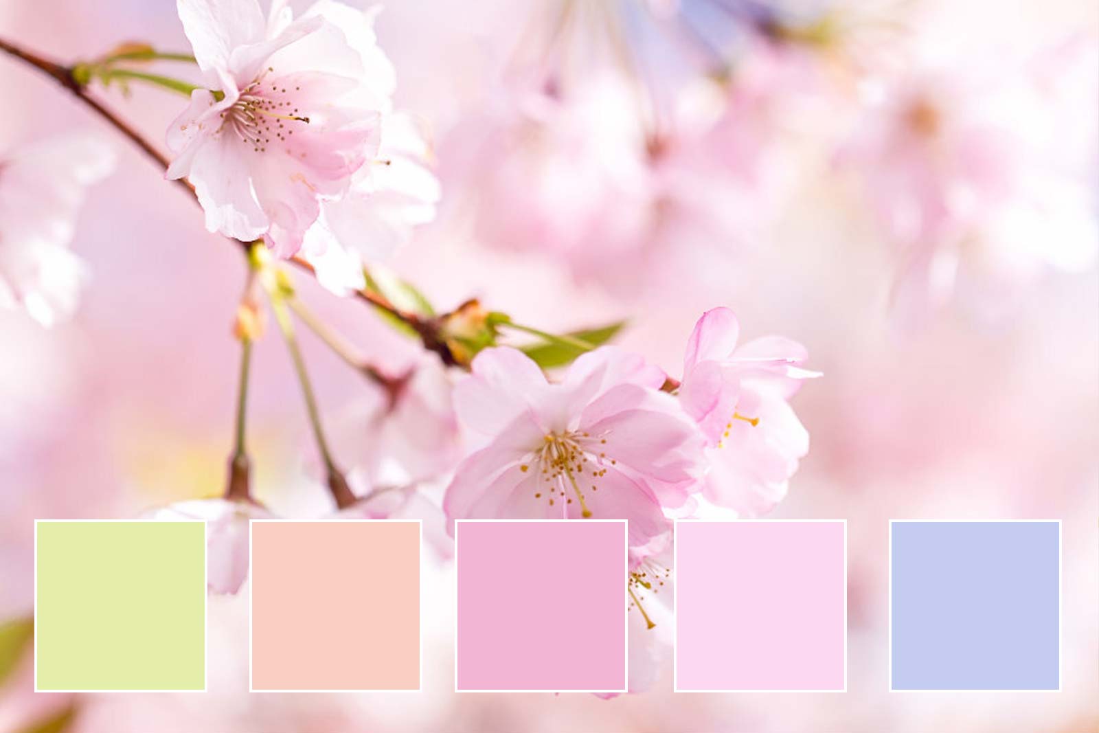 You got: Ethereal Blossom! What Is Your Spring Color Palette?