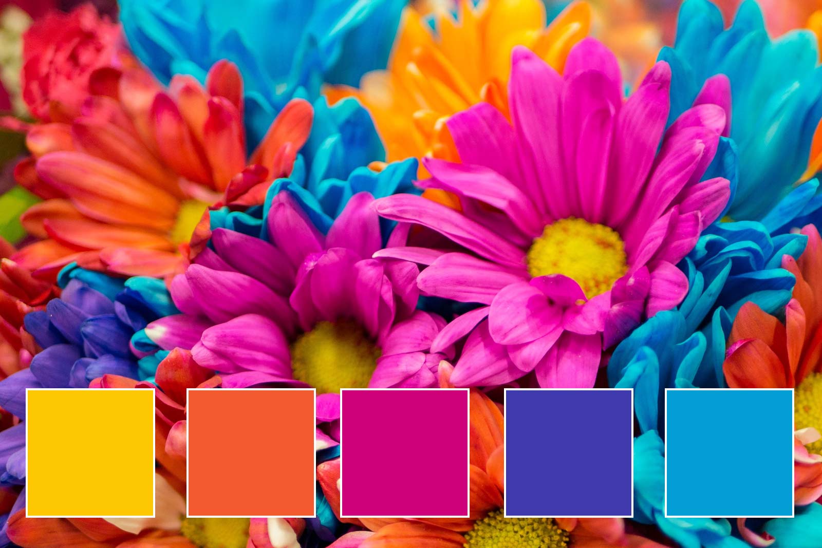 You got: Vibrant Bloom! What Is Your Spring Color Palette?