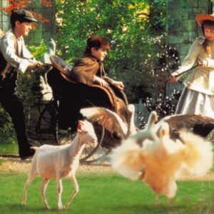 What Is Your Spring Color Palette? Quiz The Secret Garden