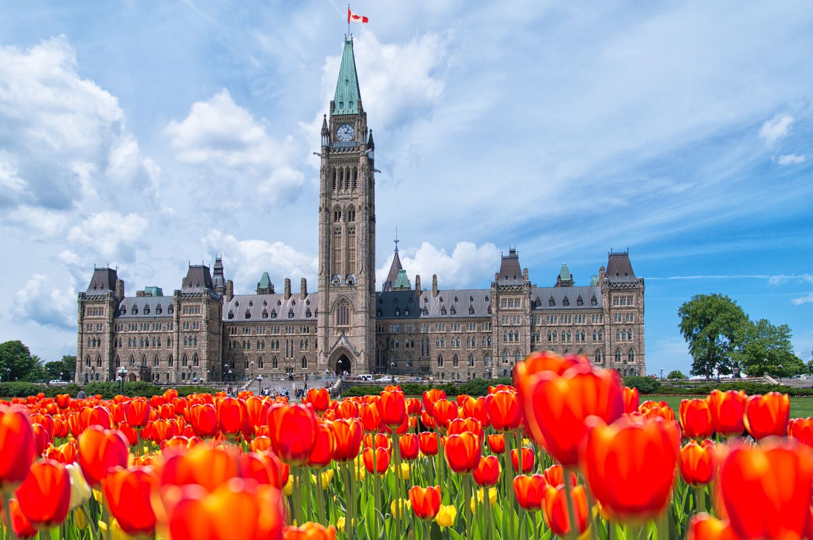 Spring Geography Quiz Canadian Tulip flower festival, Ottawa