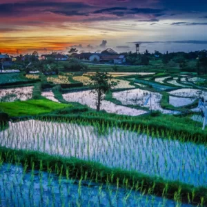22 Mixed Bag Trivia Questions - How Many Do You Know? Quiz Indonesia