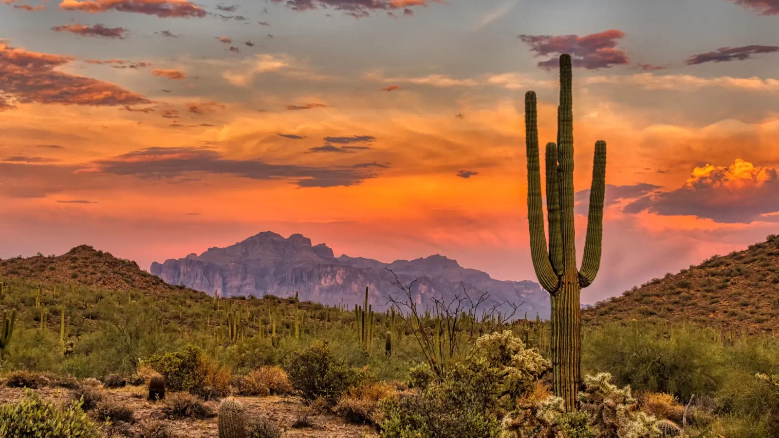 Cities At Sunset Quiz Sunset in the Sonoran Desert near Phoenix, Arizona, USA