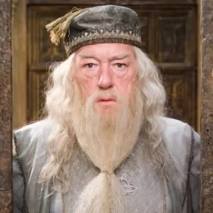 Dumbledore Or Gandalf Quiz Dumbledore