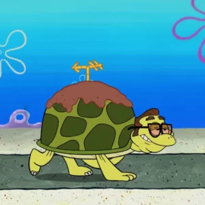 Which SpongeBob SquarePants Character Are You? Quiz Turtle
