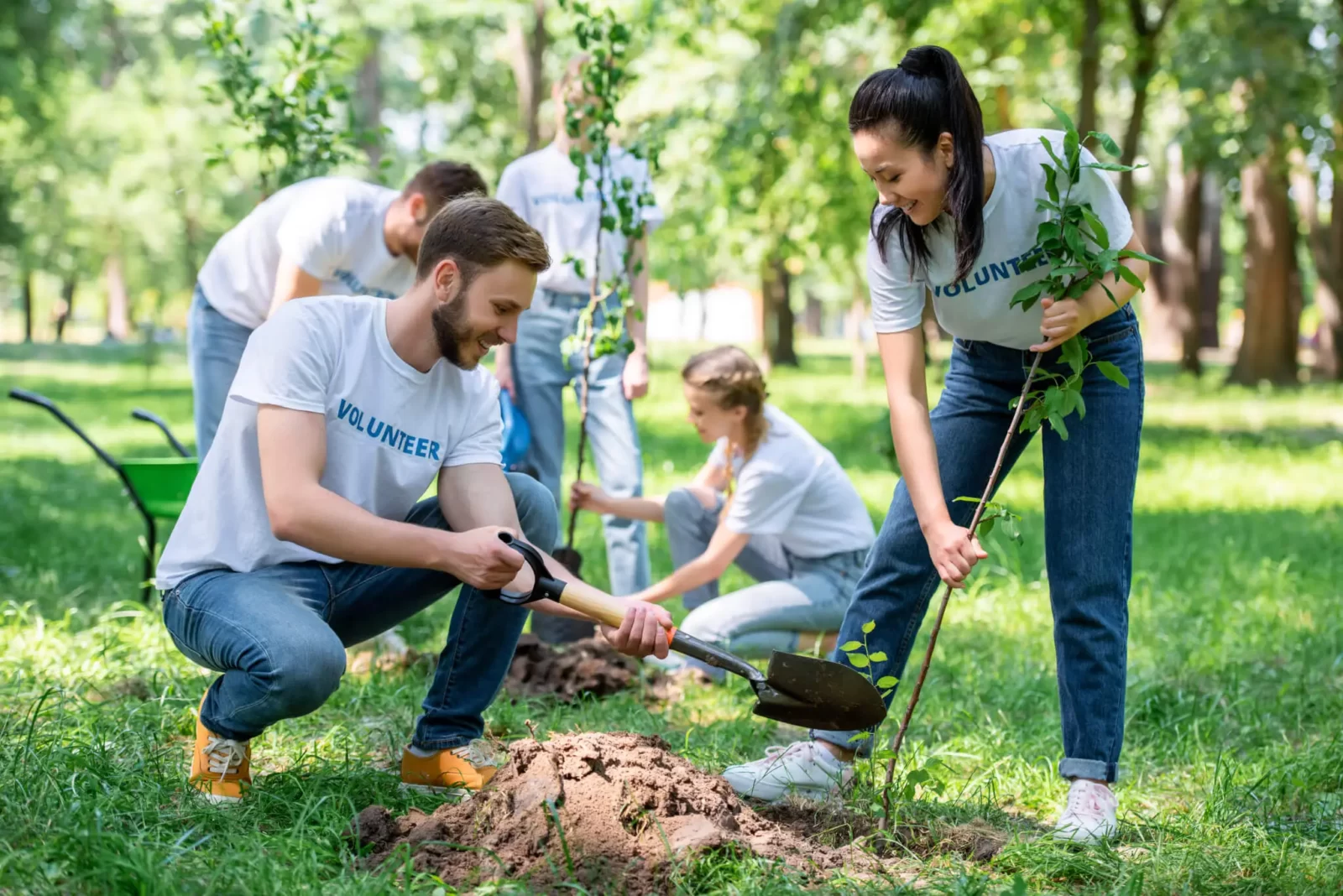 How Well Do You Know Your Antonyms? Quiz Volunteering