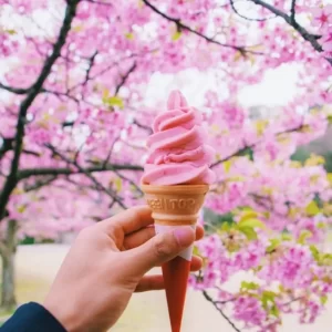 Pink Buffet Quiz Cherry blossom
