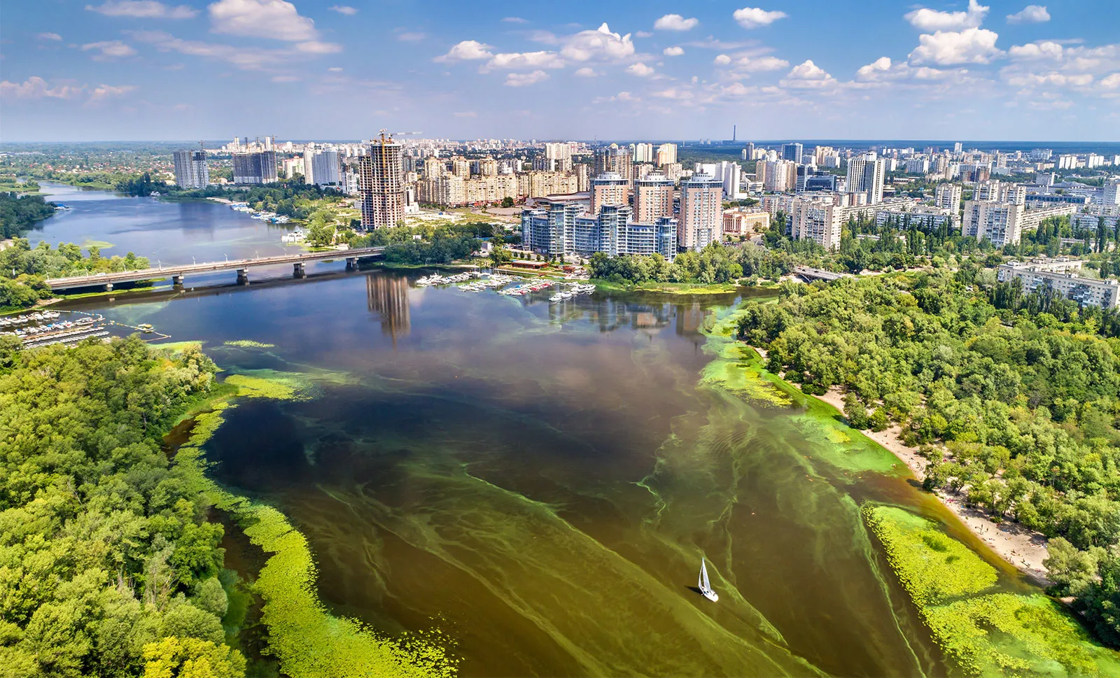 World Environment Day Quiz Eutrophication algae bloom, Dnieper River, Kyiv, Ukraine
