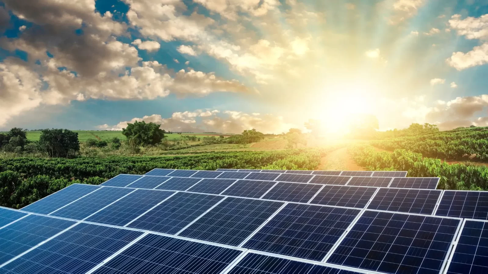 World Environment Day Quiz Solar panels energy power