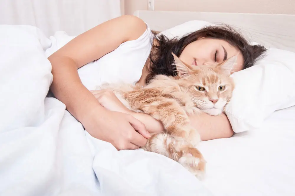 What Should I Eat For Breakfast? Quiz Sleeping with cat