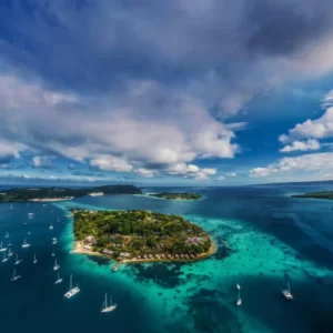 What Type Of Dolphin Are You? Quiz Vanuatu