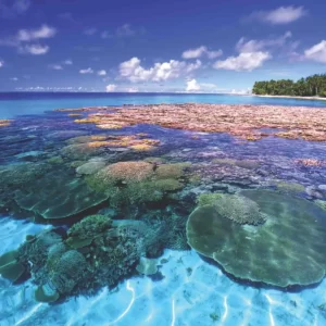 World Capitals Comfort Food Quiz Majuro, Marshall Islands