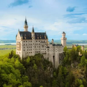 Guess The Animated Movie Titles Quiz Castle