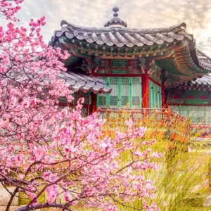 New Year's Food Quiz South Korea