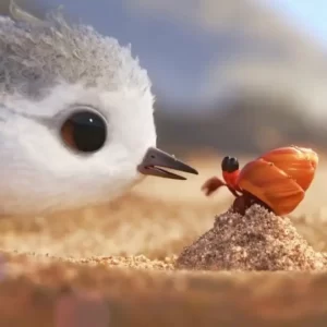 Inside Out Quiz Piper