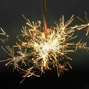 Which New Year's Eve Countdown Are You? Quiz Sparklers