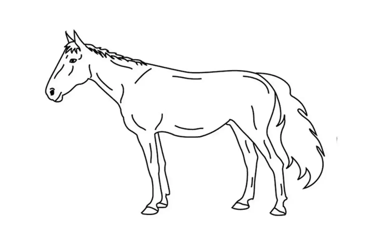 Cognitive Test Horse drawing