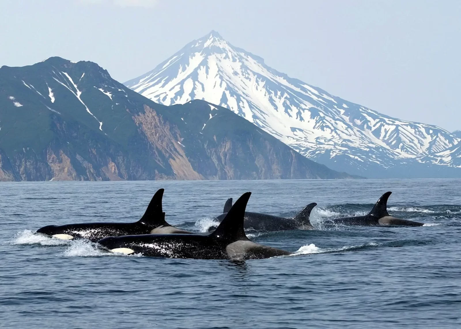 Vancouver Island, Island