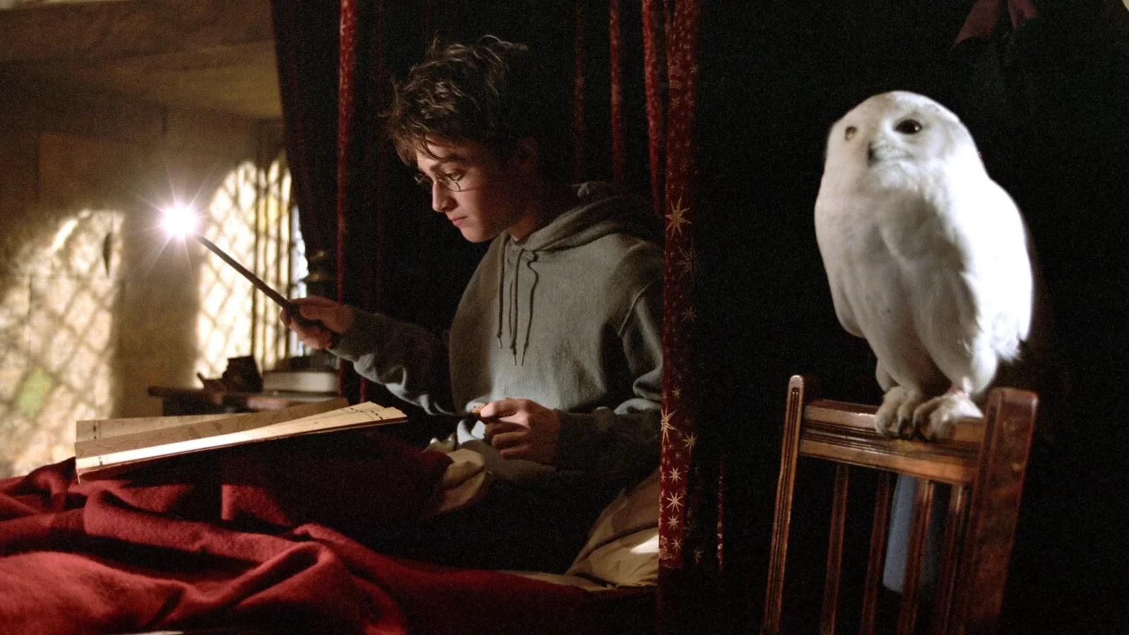 Harry Potter A-Z Quiz Harry Potter and the Prisoner of Azkaban pet snow owl Hedwig